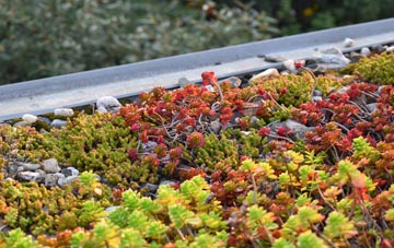 the cost of Dolanog green roof installation