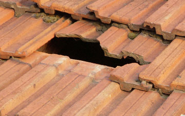 roof repair Dolanog, Powys