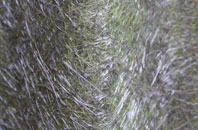 Dolanog fibreglass roof work